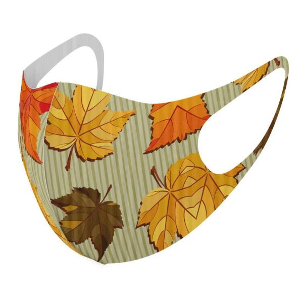 }XN 2Zbg fUC 􂦂 |GXe Y fB[X j  ǂ WjA c Aw gt@H@CXg 003724