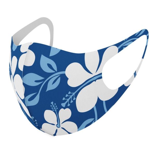 }XN 2Zbg fUC 􂦂 |GXe Y fB[X j  ǂ WjA c Aw ԁ@nCrXJX@ 003839