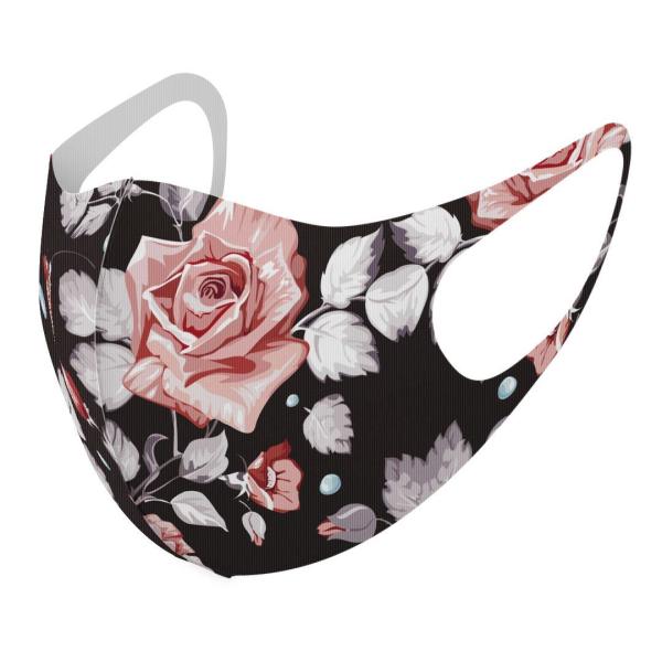 }XN 2Zbg fUC 􂦂 |GXe Y fB[X j  ǂ WjA c Aw ԁ@o@ 004179