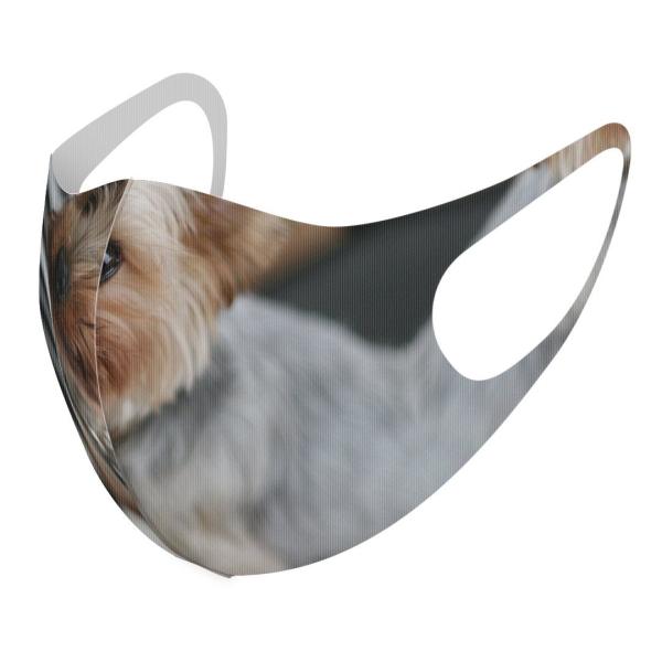 }XN 2Zbg fUC 􂦂 |GXe Y fB[X j  ǂ WjA c Aw @ʐ^@sAm 004565