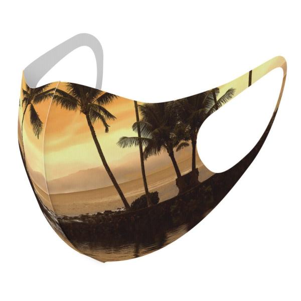 }XN 2Zbg fUC 􂦂 |GXe Y fB[X j  ǂ WjA c Aw C@V̖ 004650