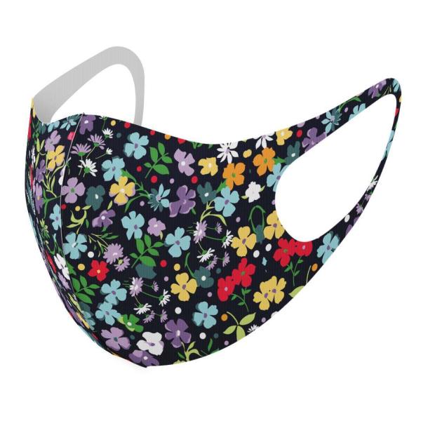 }XN 2Zbg fUC 􂦂 |GXe Y fB[X j  ǂ WjA c Aw ԁ@Jt@ 004658