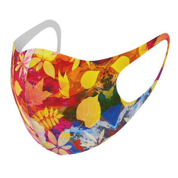 }XN 2Zbg fUC 􂦂 |GXe Y fB[X j  ǂ WjA c Aw ԁ@Fʁ@Jt 004720