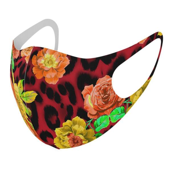 }XN 2Zbg fUC 􂦂 |GXe Y fB[X j  ǂ WjA c Aw qE@ԁ@CXg 004789