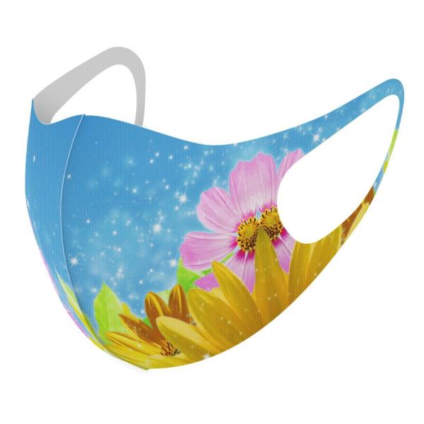 }XN 2Zbg fUC 􂦂 |GXe Y fB[X j  ǂ WjA c Aw ԁ@RXX@Ђ܂ 004954