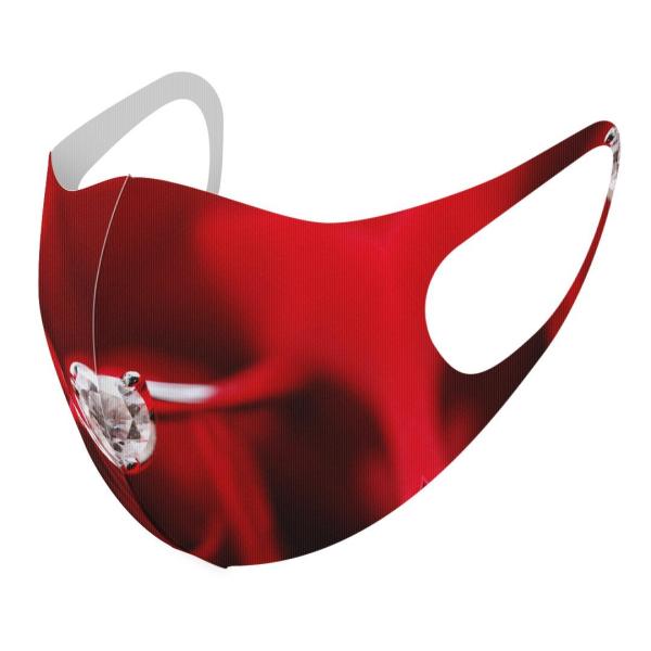 }XN 2Zbg fUC 􂦂 |GXe Y fB[X j  ǂ WjA c Aw ԁ@wց@KN 005136