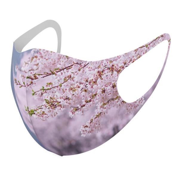 }XN 2Zbg fUC 􂦂 |GXe Y fB[X j  ǂ WjA c Aw ԁ@؁@ʐ^@ 005163