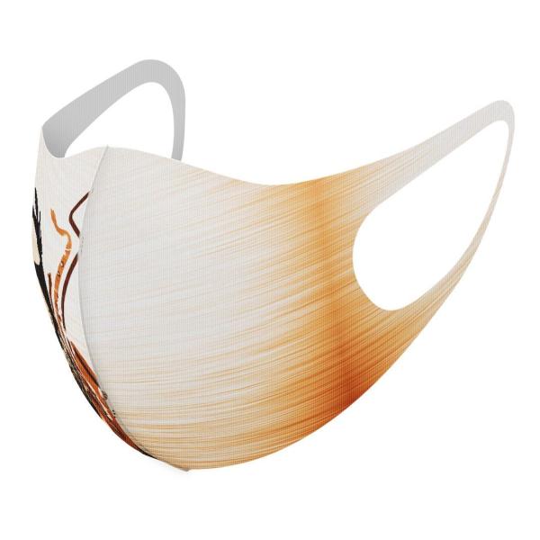 }XN 2Zbg fUC 􂦂 |GXe Y fB[X j  ǂ WjA c Aw y@y@uE 005209