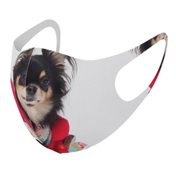 }XN 2Zbg fUC 􂦂 |GXe Y fB[X j  ǂ WjA c Aw @`@ʐ^ 005221