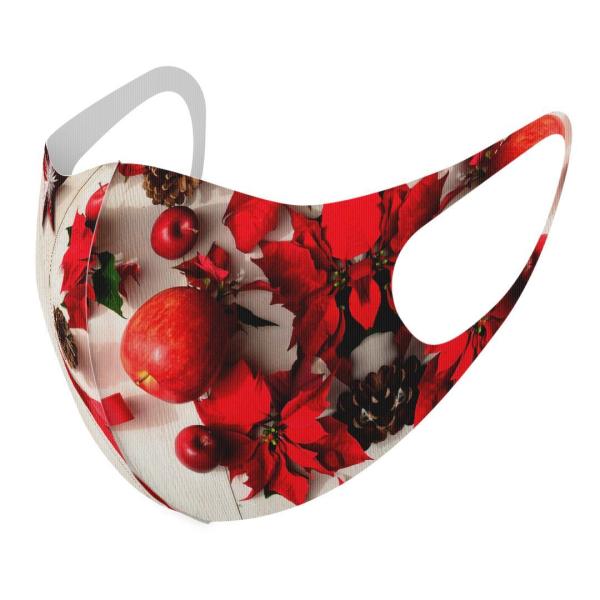 }XN 2Zbg fUC 􂦂 |GXe Y fB[X j  ǂ WjA c Aw NX}X@{@ 005228