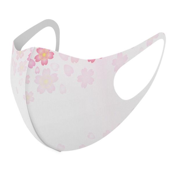 }XN 2Zbg fUC 􂦂 |GXe Y fB[X j  ǂ WjA c Aw @sN@CXg 005307