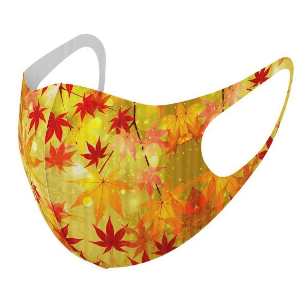 }XN 2Zbg fUC 􂦂 |GXe Y fB[X j  ǂ WjA c Aw a@a@gt 005455