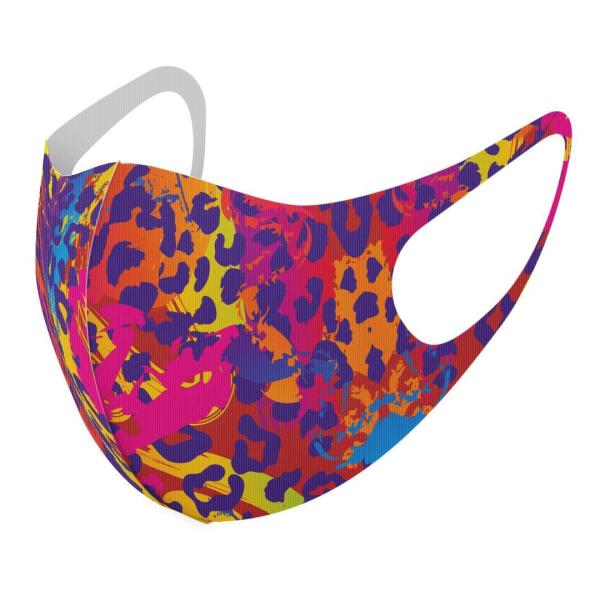 }XN 2Zbg fUC 􂦂 |GXe Y fB[X j  ǂ WjA c Aw Jt@qE@͗l 005520