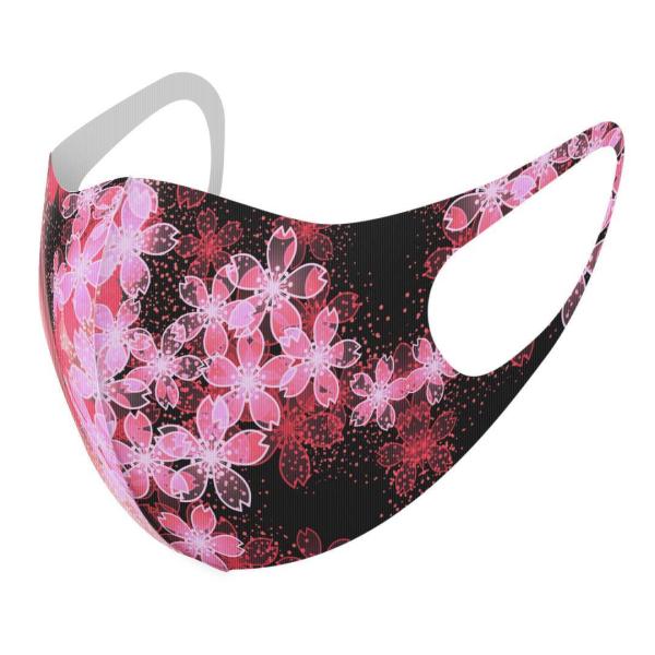 }XN 2Zbg fUC 􂦂 |GXe Y fB[X j  ǂ WjA c Aw ԁ@a@a 005614