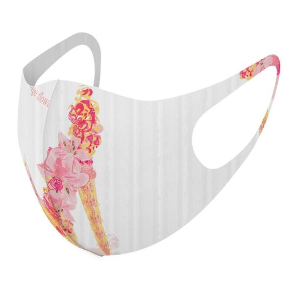 }XN 2Zbg fUC 􂦂 |GXe Y fB[X j  ǂ WjA c Aw C@ԁ@t[@q[ 005649