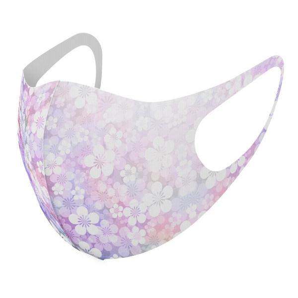 }XN 2Zbg fUC 􂦂 |GXe Y fB[X j  ǂ WjA c Aw ԁ@t[@a@a 005687