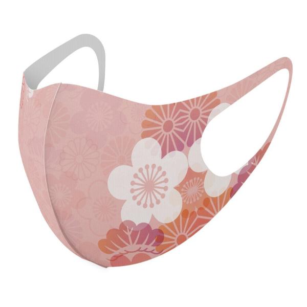 }XN 2Zbg fUC 􂦂 |GXe Y fB[X j  ǂ WjA c Aw ԁ@a@a 005692