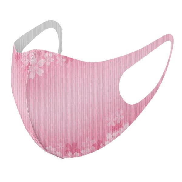 }XN 2Zbg fUC 􂦂 |GXe Y fB[X j  ǂ WjA c Aw ԁ@t[@sN 005698