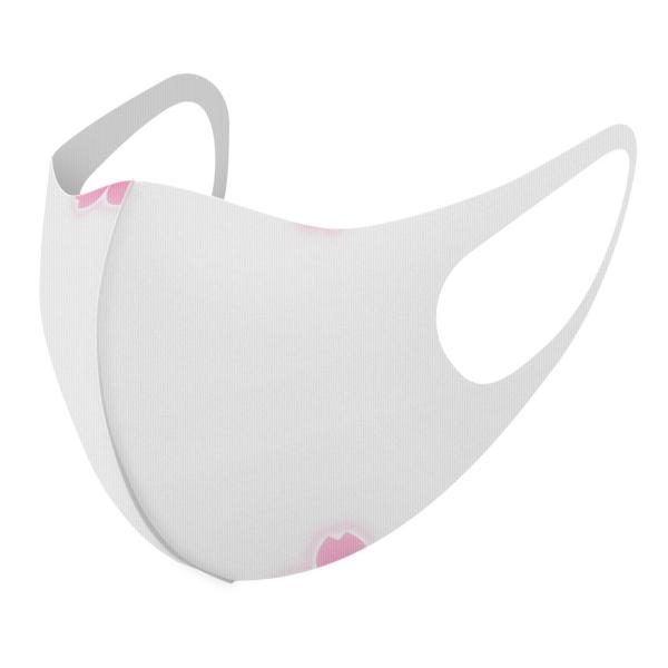 }XN 2Zbg fUC 􂦂 |GXe Y fB[X j  ǂ WjA c Aw ԁ@t[@sN 005708