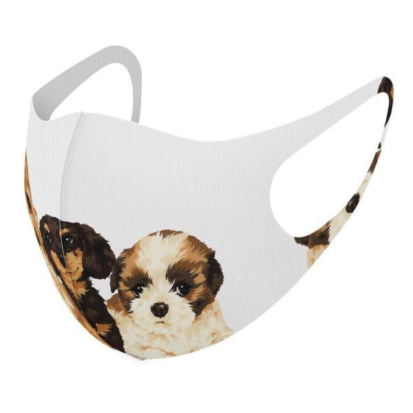 }XN 2Zbg fUC 􂦂 |GXe Y fB[X j  ǂ WjA c Aw @@CXg 005734