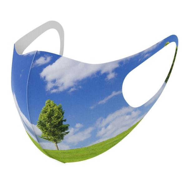 }XN 2Zbg fUC 􂦂 |GXe Y fB[X j  ǂ WjA c Aw ʐ^@@ 005883