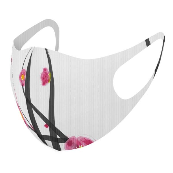 }XN 2Zbg fUC 􂦂 |GXe Y fB[X j  ǂ WjA c Aw a@a@ԁ@t[ 005908