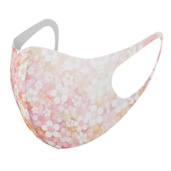 }XN 2Zbg fUC 􂦂 |GXe Y fB[X j  ǂ WjA c Aw a@a@ԁ@t[ 005976