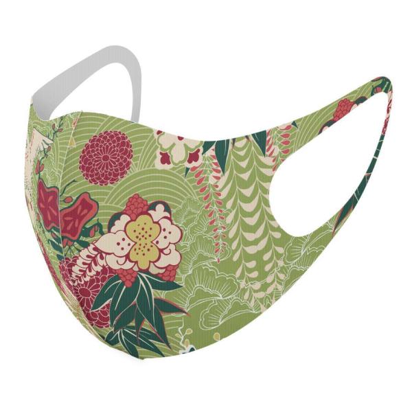 }XN 2Zbg fUC 􂦂 |GXe Y fB[X j  ǂ WjA c Aw a@a@ԁ@t[ 006330