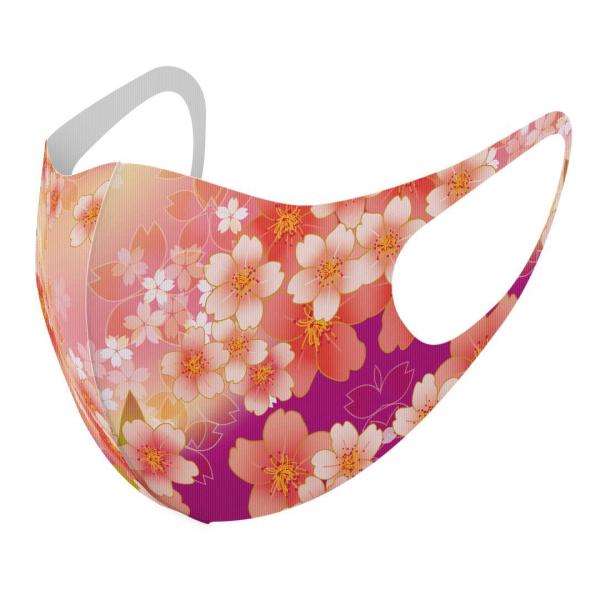 }XN 2Zbg fUC 􂦂 |GXe Y fB[X j  ǂ WjA c Aw a@a@ԁ@t[ 006383