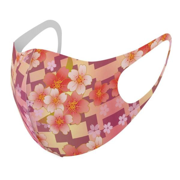 }XN 2Zbg fUC 􂦂 |GXe Y fB[X j  ǂ WjA c Aw a@a@ԁ@t[ 006389