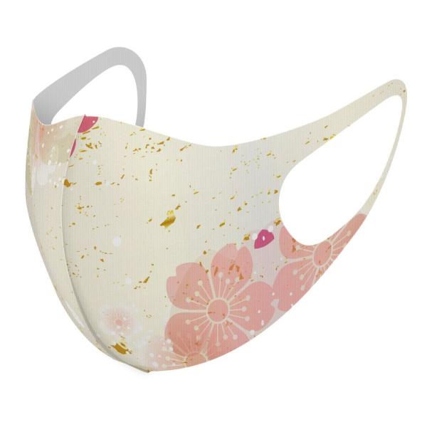 }XN 2Zbg fUC 􂦂 |GXe Y fB[X j  ǂ WjA c Aw a@a@ԁ@t[ 006429