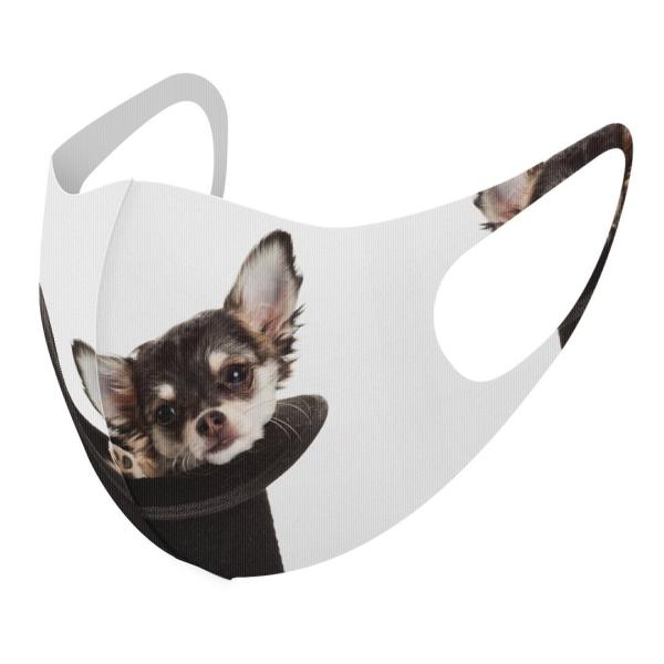 }XN 2Zbg fUC 􂦂 |GXe Y fB[X j  ǂ WjA c Aw ʐ^@@ 006481