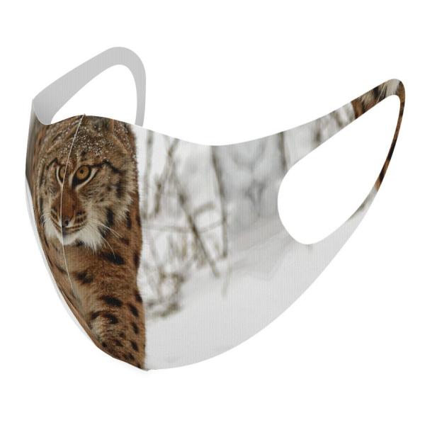 }XN 2Zbg fUC 􂦂 |GXe Y fB[X j  ǂ WjA c Aw ʐ^@@ 006779