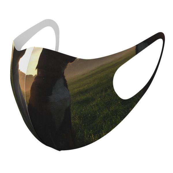 }XN 2Zbg fUC 􂦂 |GXe Y fB[X j  ǂ WjA c Aw ʐ^@ 006937