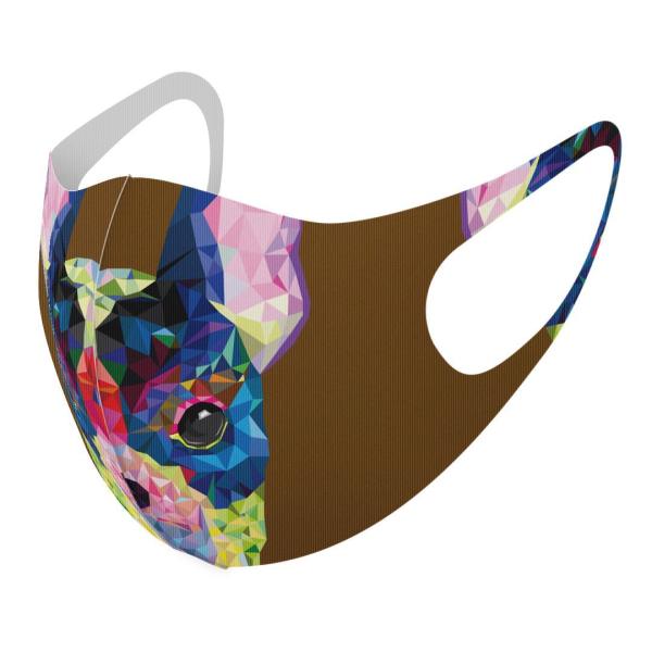 }XN 2Zbg fUC 􂦂 |GXe Y fB[X j  ǂ WjA c Aw @Jt@F@uE 007392