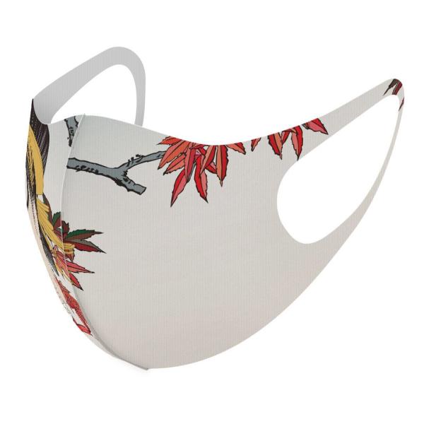 }XN 2Zbg fUC 􂦂 |GXe Y fB[X j  ǂ WjA c Aw a@a@G@gt 007438