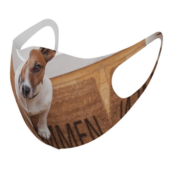 }XN 2Zbg fUC 􂦂 |GXe Y fB[X j  ǂ WjA c Aw ʐ^@@@zCg 007766