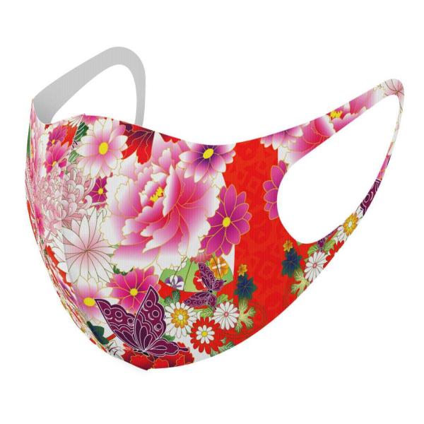 }XN 2Zbg fUC 􂦂 |GXe Y fB[X j  ǂ WjA c Aw a@a@ԁ@t[@ԁ@bh 007935