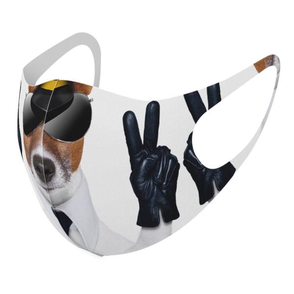 }XN 2Zbg fUC 􂦂 |GXe Y fB[X j  ǂ WjA c Aw ʐ^@@TOX 007938