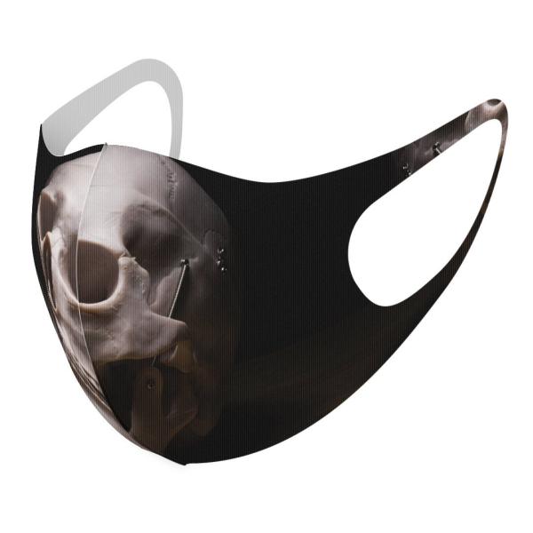 }XN 2Zbg fUC 􂦂 |GXe Y fB[X j  ǂ WjA c Aw hN@[@ʐ^@@ubN 007989