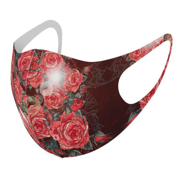 }XN 2Zbg fUC 􂦂 |GXe Y fB[X j  ǂ WjA c Aw ԁ@t[@ԁ@bh@CXg 008021