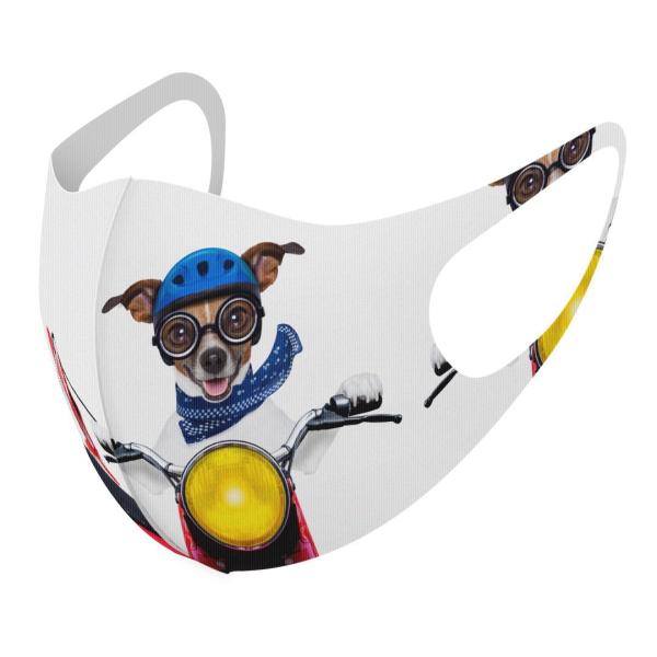 }XN 2Zbg fUC 􂦂 |GXe Y fB[X j  ǂ WjA c Aw ʐ^@@oCN@ԁ@bh 008126