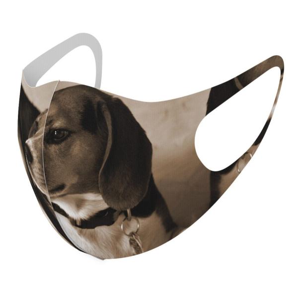 }XN 2Zbg fUC 􂦂 |GXe Y fB[X j  ǂ WjA c Aw ʐ^@ZsA@ 008194