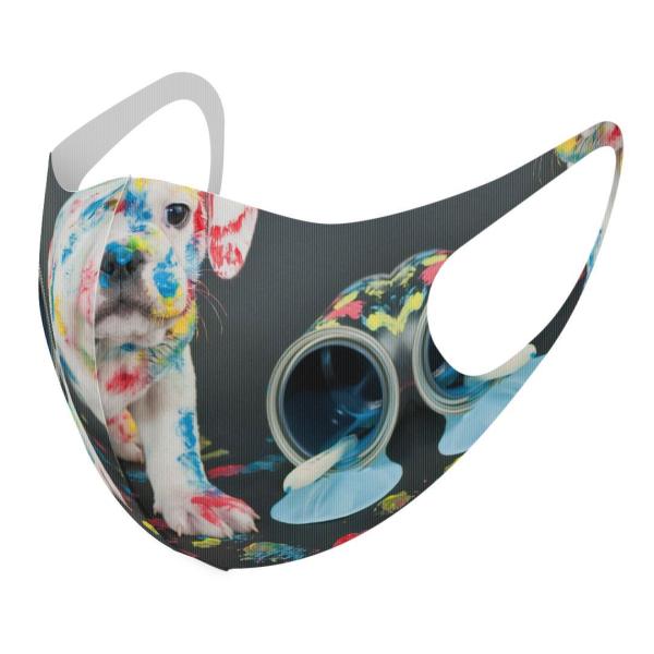 }XN 2Zbg fUC 􂦂 |GXe Y fB[X j  ǂ WjA c Aw @ʐ^@yL@CN@Jt 008304