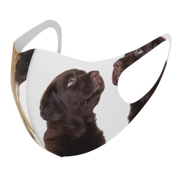 }XN 2Zbg fUC 􂦂 |GXe Y fB[X j  ǂ WjA c Aw ʐ^@@L 008364