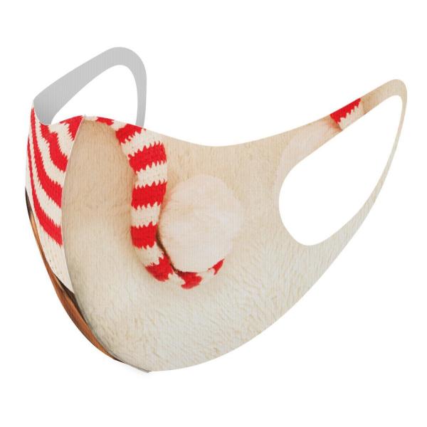 }XN 2Zbg fUC 􂦂 |GXe Y fB[X j  ǂ WjA c Aw ʐ^@@Xq@ԁ@bh 008439