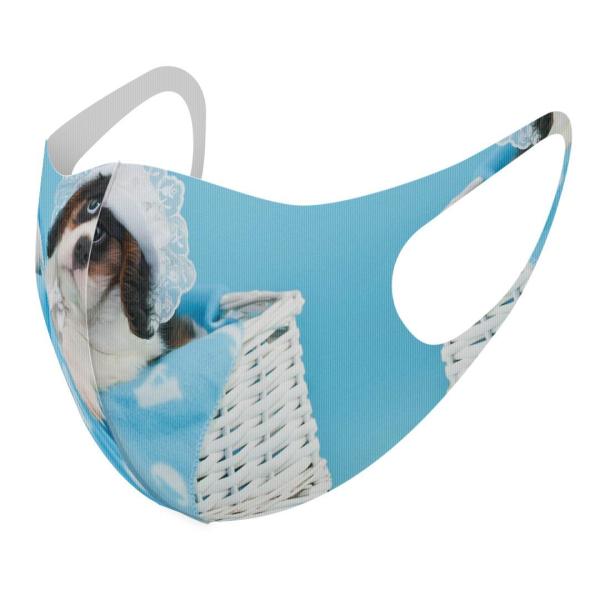 }XN 2Zbg fUC 􂦂 |GXe Y fB[X j  ǂ WjA c Aw ʐ^@F@@u[@ 008499