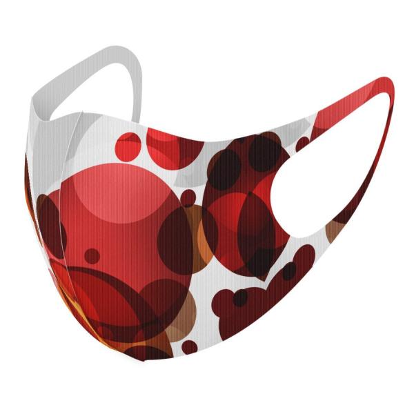 }XN 2Zbg fUC 􂦂 |GXe Y fB[X j  ǂ WjA c Aw ہ@͗l@ԁ@bh@DF 008638