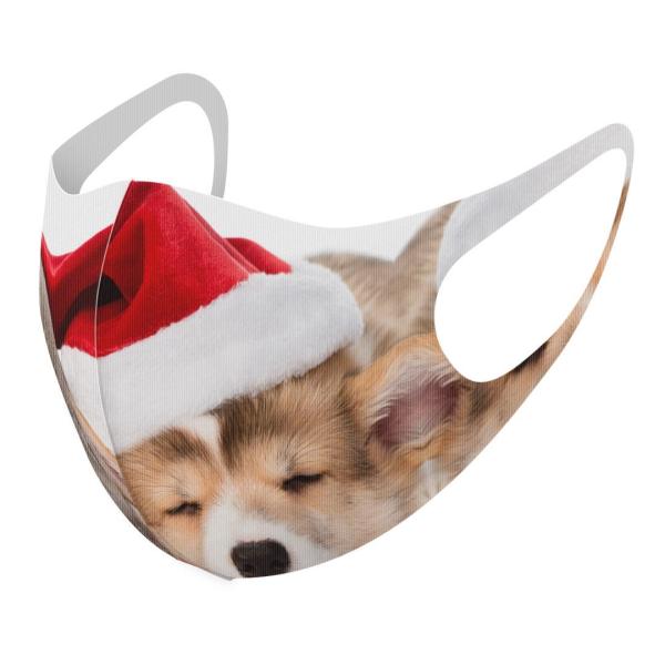 }XN 2Zbg fUC 􂦂 |GXe Y fB[X j  ǂ WjA c Aw @L@Xq@ʐ^ 008645