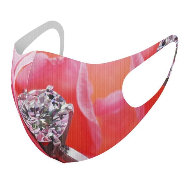 }XN 2Zbg fUC 􂦂 |GXe Y fB[X j  ǂ WjA c Aw ʐ^@ԁ@t[@wց@_C 008706